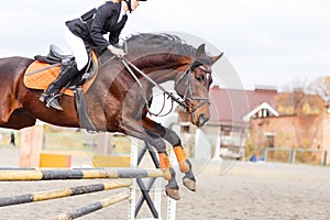 Horse with rider jump over hurdle on show jumping