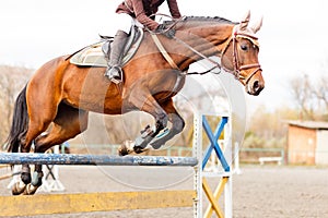 Horse with rider jump over hurdle on show jumping