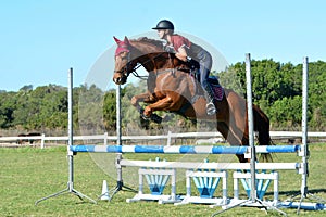 Horse and rider jumping