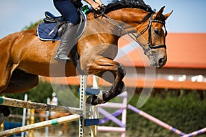 Horse rider jumping