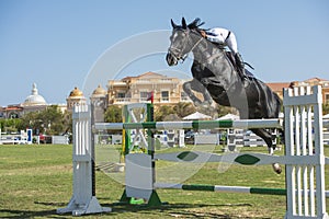 Horse and rider jumping in equestrian competition