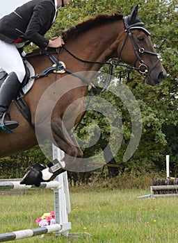 Horse and rider jumping a hurdle