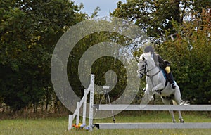 Horse and rider jumping a hurdle