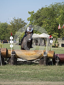 Horse rider jumping over a barrier