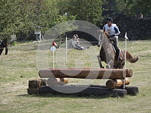 Horse rider jumping over a barrier