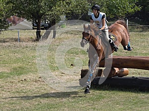 Horse rider jumping over a barrier