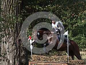 Horse rider jumping over a barrier