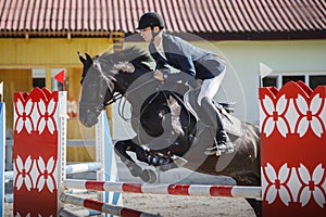 horse and rider jumping on showjumping competition