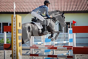 Horse and rider jumping on showjumping competition