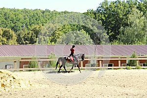 Horse and rider outdoors, horizontal. People, animals, dressage concept.