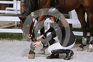 Horse rider preparing bridle at stable. Young beautiful girl preparing her horse before riding. People and equestrianism concept