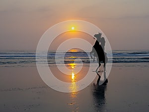 Horse and Rider Rearing in the Sunrise