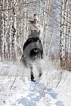 Horse and rider ride gallop in the winter woods