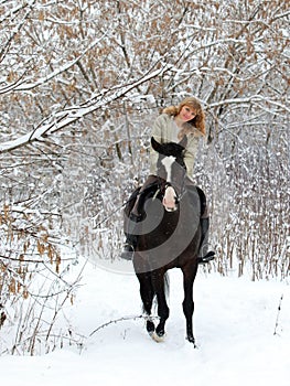 Horse and rider ride gallop in the winter woods