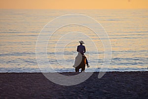 Horse rider on beach at sunset