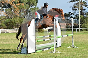 Horse and rider show jumping