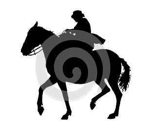 Horse and rider silhouette