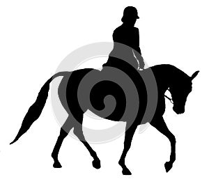 Horse And Rider Silhouette Isolated