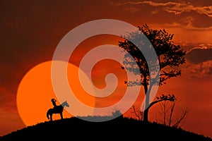 Horse rider silhouette at orange sunset