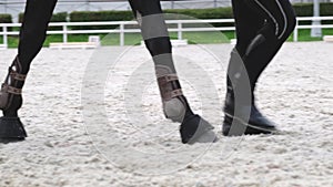 Horse and rider slowly walk on the sandy parade ground after the competition Legs close-up.