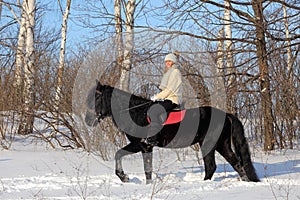 Horse and rider to walks in the snowy woods