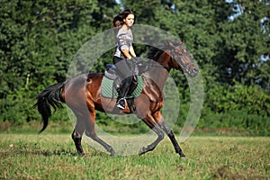 Horse rider on a trail