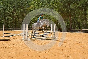 Horse and Rider Training