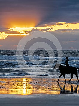 Horse and Rider Walking in the Surf and Sunbeams