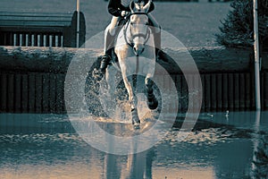 Horse and rider at a water jump competing, in the cross country stage, at an equestrian three day event.
