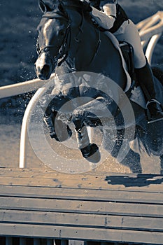 Horse and rider at a water jump competing, in the cross country stage, at an equestrian three day event. photo