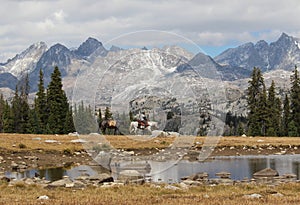 Horse Rider in Wyoming`s Wind River Range