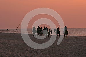 Horse riders on beach photo