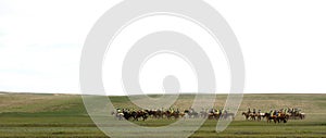 Horse riders in mongolian steppe. Landscape with running horses near the mountain.