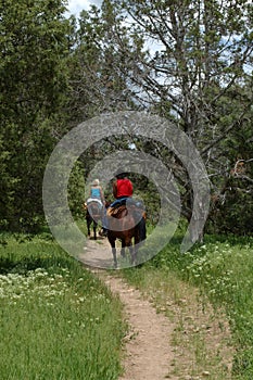 Horse riders on the mountain trail