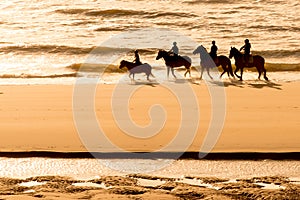 Horse riders on a sandy beach at sunset