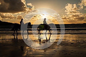 Horse riders at sunset