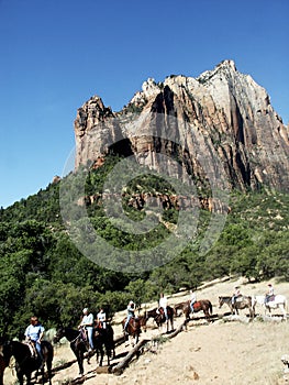 Horse riders in Zion Canyon