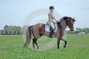 Ein Pferd auf dem pferd 