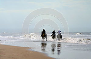 Un cavallo sul cavallo 