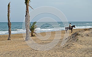 Horse Riding Along A Beach