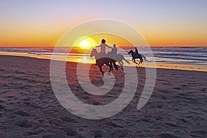 Horse riding on the beach