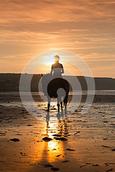 Horse riding on the beach