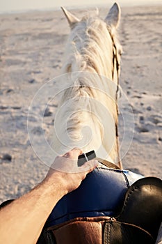 Horse riding, beach and hand of person with animal for travel on holiday or vacation on an island with farm pet in