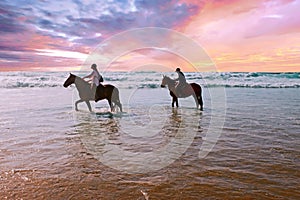 Horse riding at the beach at the ocean