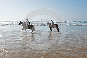 Horse riding at the beach at the ocean