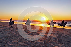 Horse riding on the beach