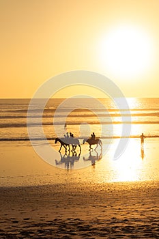 Horse riding on beach at sunset