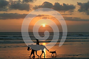 Horse riding on a beach at sunset