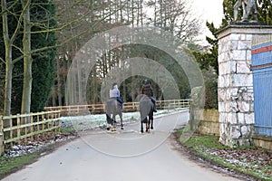 Horse Riding in Castle Grounds