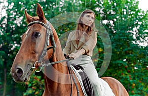 Horse riding experience. Horseback journey. Meadow encounter: woman, horse, nature. Equestrian benefits, lessons, emotional